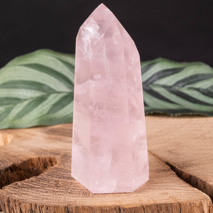 Rose Quartz Polished Point 74 g 68x32mm - InnerVision Crystals