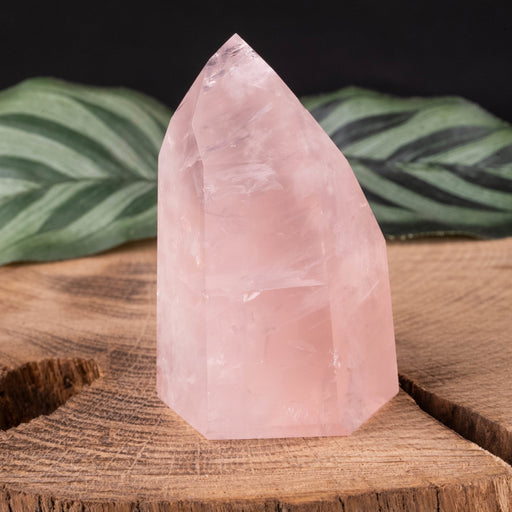 Rose Quartz Polished Point 86 g 56x37mm - InnerVision Crystals