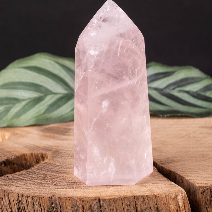 Rose Quartz Polished Point 88 g 72x32mm - InnerVision Crystals