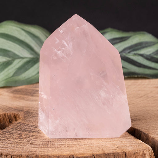 Rose Quartz Polished Point 89 g 54x43mm - InnerVision Crystals